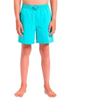 Quiksilver Spl Fineline Volley 14 Swimming Shorts Bleu 8 Years Garçon