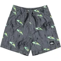 Quiksilver Next Gen Volley 12 Swimming Shorts Gris 3 Years Garçon