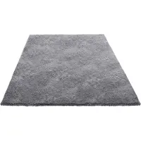 Vevor Tapis Salon Chambre Poil Long 2,44 x 3,05 m Tapis Moderne de Décoration Intérieur Rectangulaire Antidérapant en Peluche Moelleux Doux Envers Non Tissé pour Salon