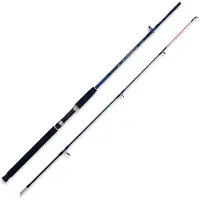 LINEAEFFE Caspian Pro Spinning Rod Argenté 2.40 m / 250 g