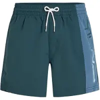 O'Neill Retro 14´´ Swimming Shorts Vert,Bleu 2XL Homme