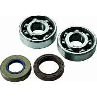 RSM Roulement Ou Joint Spi Moteur Pour Moto Aprilia 50 Rx Moteur Am6 Neuf