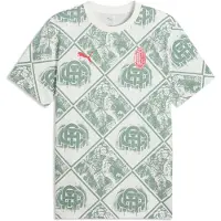 Puma Ac Milan Ftblculture Short Sleeve T-shirt Vert L Homme