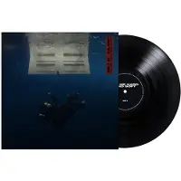 INTERSCOPE Hit Me Hard And Soft (black Lp)
