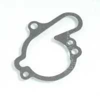 RSM Joint Pompe À Eau Pour Moto Sherco 50 Sm-R 2013 À 2017 Am00023 / Am6 Neuf