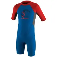 O'Neill Reactor Spring 2 Mm Junior Short Sleeve Back Zip Shorty Bleu 6 Years Enfants