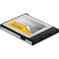 DeLOCK CFexpress Speicherkarte 256 GB