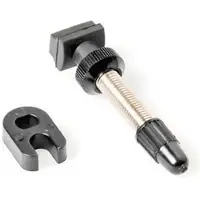 Dt Swiss Valve Tubeless R6.5 73mm argent, 66 - 80 mm, TVVXA73S25878S