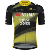 Tvl Team Visma Lease A Bike Tdf25 Replica Short Sleeve Jersey Vert M Homme