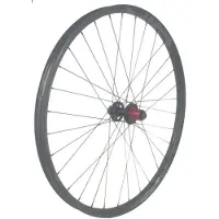 Gtr Sl30 Boost 29´´ Disc Cl Tubeless Mtb Rear Wheel Argenté 12 x 148 mm / Shimano/Sram HG