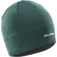 Salomon Logo Beanie Vert