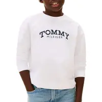 Tommy Hilfiger T-Shirt bleu marine / blanc