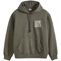 Levi's Homme Sweat à Capuche graphique décontracté Kambaba