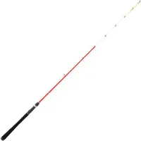 Daiwa Sensor Palangrotte Eging Rod Argenté 1.80 m / 30-150 g