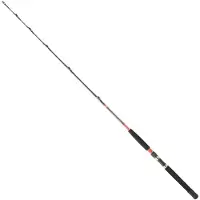 Daiwa Canne à pêche à la traîne Megaforce Ar argent 1.70 m / 50-80 Lbs argent 1.70 m