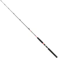 Daiwa Megaforce Trollingrute 1.70m / 15-30 Lbs 1.70m
