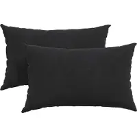 vidaXL Coussins de canapé 2 pcs Noir 50 x 30 cm