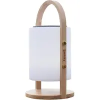 Lumisky Baladeuse musicale Woody Play