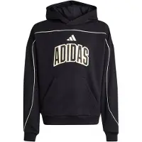Adidas Sweat à Capuche Stadium Lettering