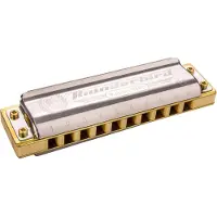 Hohner Marine Band Thunderbird Low D/Ré Grave - 10 Trous