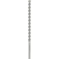 Bosch Accesorios 4 22x400x520 Mm Sds-max Wall Drill Bit Argenté
