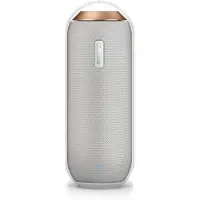 Philips - Enceinte portable sans fil - BT6000W/12