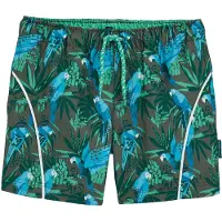 We fashion Maillot de bain bleu / marron / vert / blanc