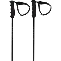 Völkl Speedstick Poles Argenté 115 cm Homme,Femme