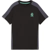 Puma T-Shirt fonctionnel turquoise / anthracite / noir