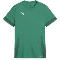 Puma T-Shirt fonctionnel roseau / vert foncé / blanc
