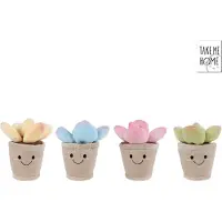 Take Me Home Plant Pluche - 13cm