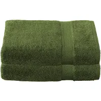 De Witte Lietaer Serviette de Douche De Witte Lietaer Stéphanie Cactus (Lot de 2)