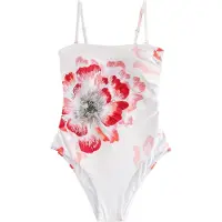 Ted Baker Maillot de bain rose ancienne / rouge / noir / blanc