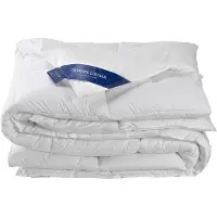 De Witte Lietaer Couette Tempérée De Witte Lietaer Ducky Duvet de Canard-260 x 220 cm
