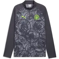 Puma T-Shirt fonctionnel 'Manchester City' gris / vert