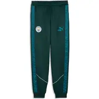 Puma Pantalon de sport 'Manchester City KING Anthem' vert foncé