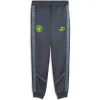 Puma Pantalon Manchester City Fc King Anthem