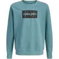 Jack & Jones Junior Sweat 'JJCOLE' émeraude / noir / blanc