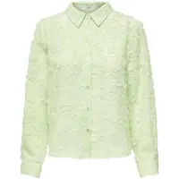 JDY Chemisier 'JDYMaia' vert pastel