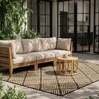 FRAAI Tapis d'extérieur - Brava Noir | 120x170 cm | Rectangulaire | Tissage plat