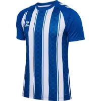 Hummel T-Shirt fonctionnel 'Match' bleu marine / blanc