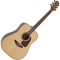 Takamine GD93-NAT Natural