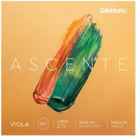 Daddario Jeu Ascente Diapason Long Medium