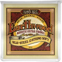 Ernie Ball 2051 Earthwood Silk Soft 12C 9-46