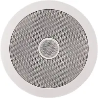 SubZero Haut-Parleur de Plafond 5" Ligne 100 V