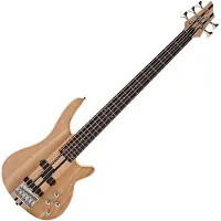 Gear4Music Guitare Basse Chicago 5 Cordes à Manche Traversant par