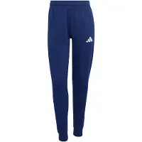 Adidas Pantalon de sport 'Entrada26' bleu / blanc