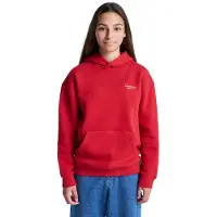 Element Co Hoodie Rouge 12 Years Garçon