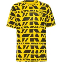 Puma Bvb Borussia Dortmund 25/26 Pre Match Short Sleeve T-shirt Jaune L Homme