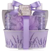 Accentra Lavendel